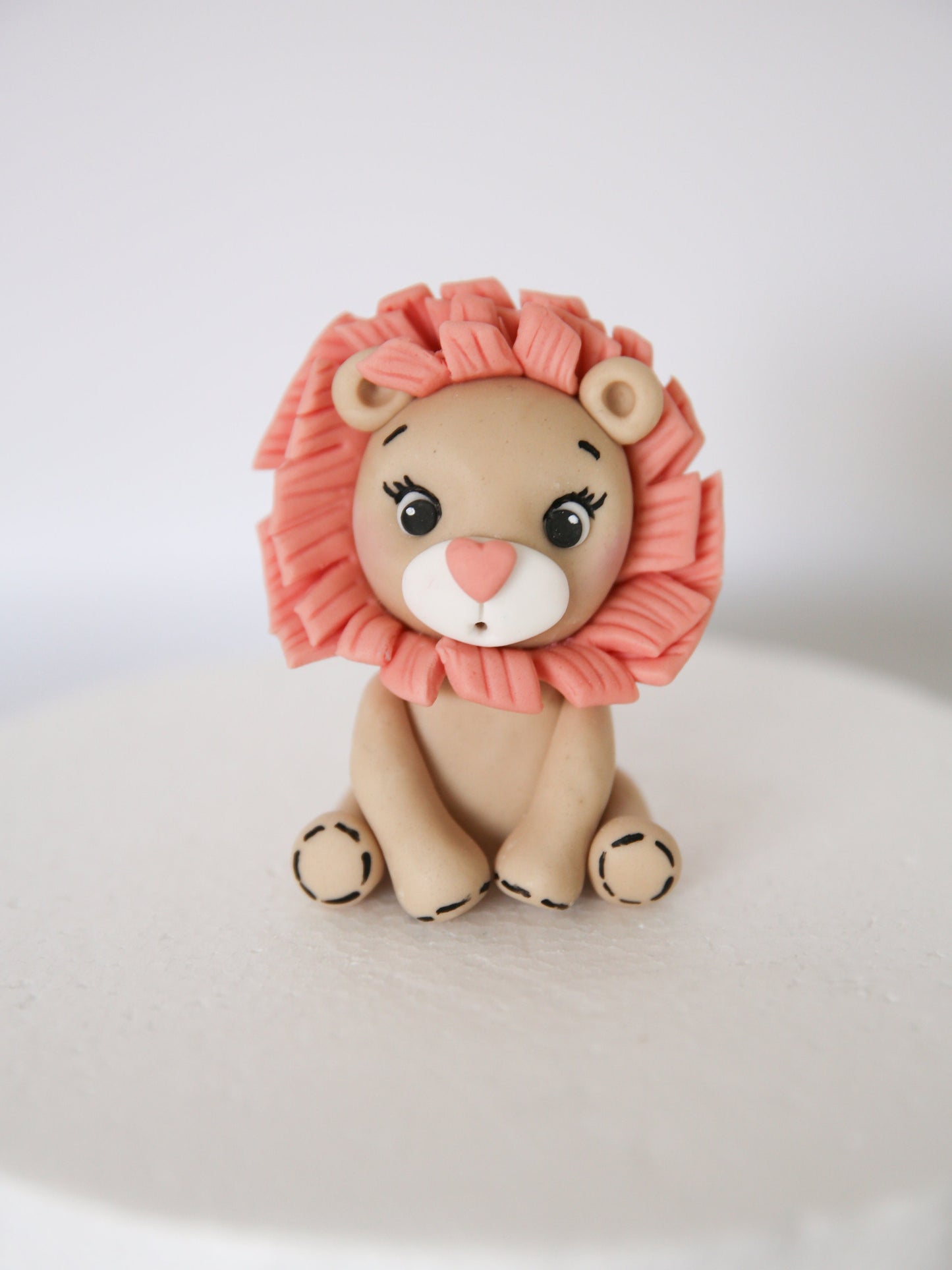 Premium Safari Fondant Cake Toppers, Cute Boy and Girl Animals