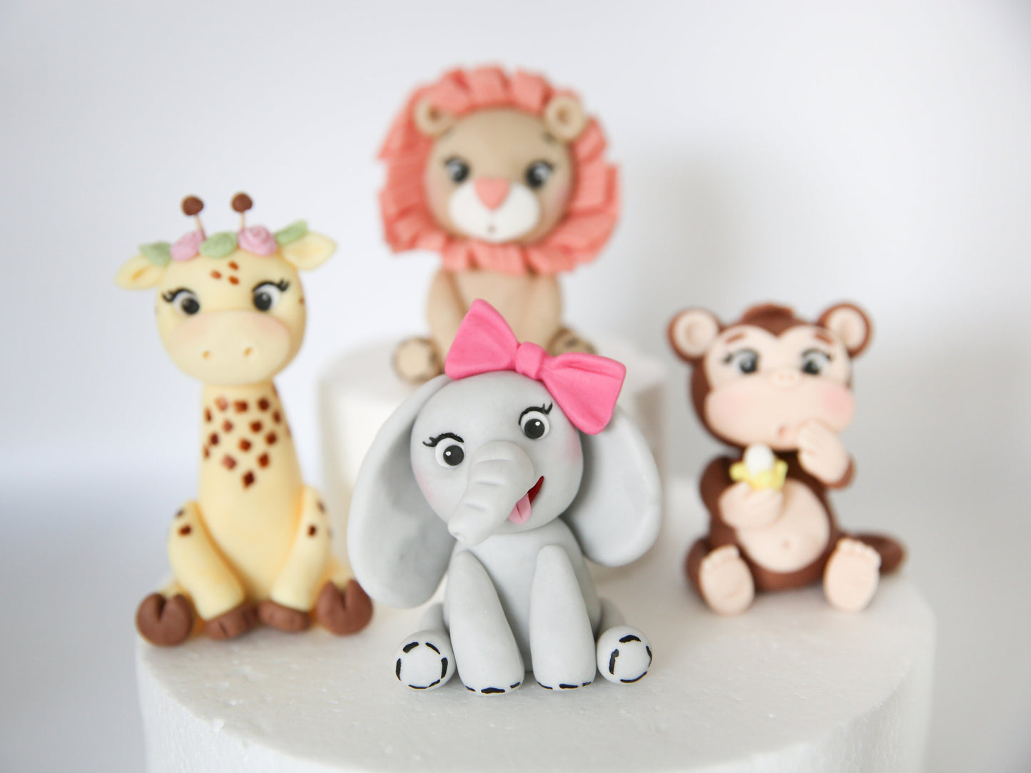 Premium Safari Fondant Cake Toppers, Cute Boy and Girl Animals